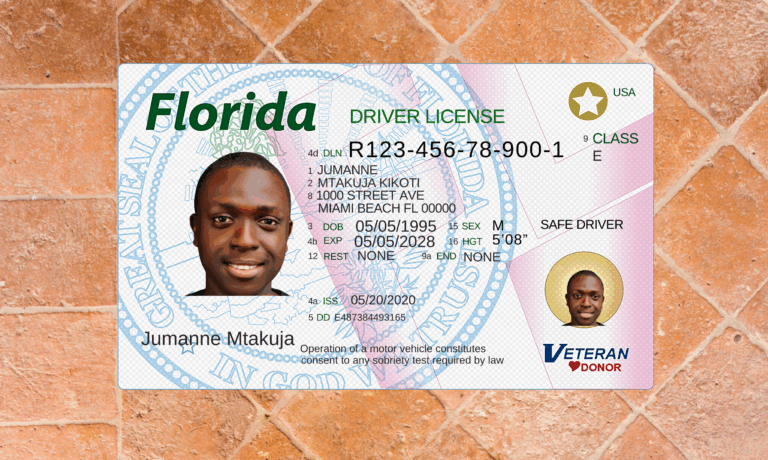 Download USA Drivers License PSD Template (New Version) for reseling