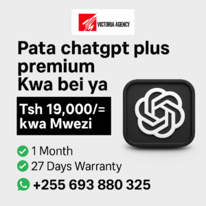 ChatGPT Plus shared account